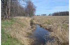 Property photo 137 - REAL ESTATE & PERSONAL PROPERTY AUCTION, 140 Acres offered in 8 Tracts or Combinations in Steuben County